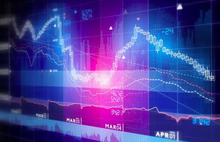 二級市場的含義及其在網(wǎng)絡(luò)技術(shù)服務(wù)中的應(yīng)用